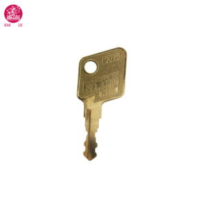 New Wah Lin 14607 14603 Ignition Key For JCB Bomag Excavator Wacker Neuson Hamm Master JCB 3CX Bomag Tractor