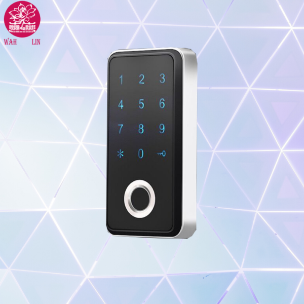 Fingerprint And Keypad Code Password Combination Cabinet Drawer Sauna Gym Locker Lock With Finger Print Scanner