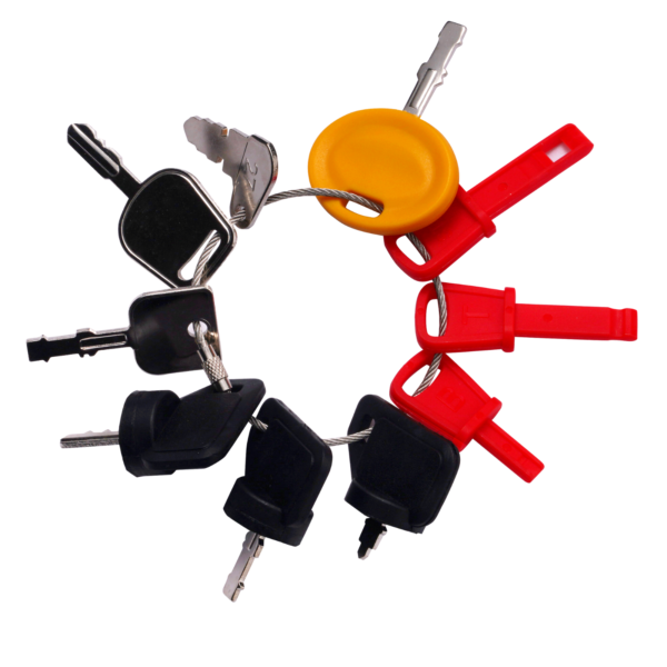 WAH LIN PARTS 10 Equipment Key Set Snow Blower Keys Lawn Mower Keys Fits Toro, MTD, Cub Cadet, Troy-Bilt, Craftsman, Briggs & Stratton, Tecumseh Snow King, Snoopy, Indak, Husqvarna