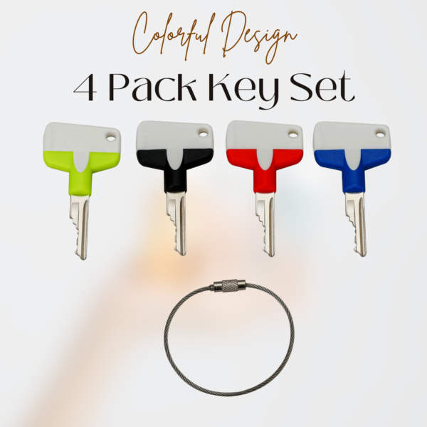 New Design D250 Ignition Keys Plastic Head with Multi Color 4 Key Pack - Image 2