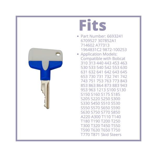 New Design D250 Ignition Keys Plastic Head with Multi Color 4 Key Pack - Image 3