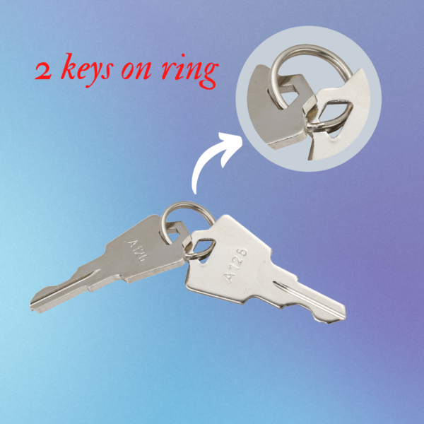 Mobility Scooter A126 Ignition Key for Linear, Pride, GoGo, Elite, AK-11, MDKP 10 Keys Pack - Image 5