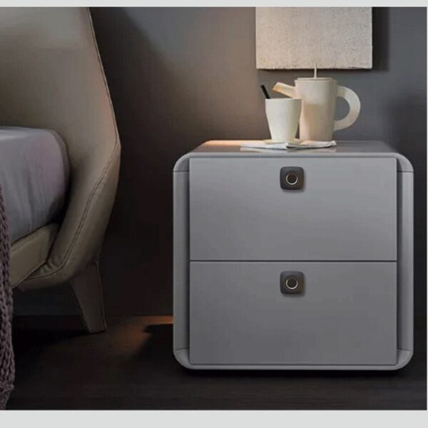 Fingerprint Lock Smart Cabinet Locks Biometric Keyless Furniture Drawer Cabinet Wardrobe Fingerprint Locks For Drawer Cabinet - Image 6