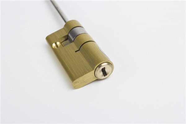 Special lock core for automatic fingerprint lock cylinder  ,With tail,C-Class core ,2keys,Anti-theft door emergency lock core - Image 5