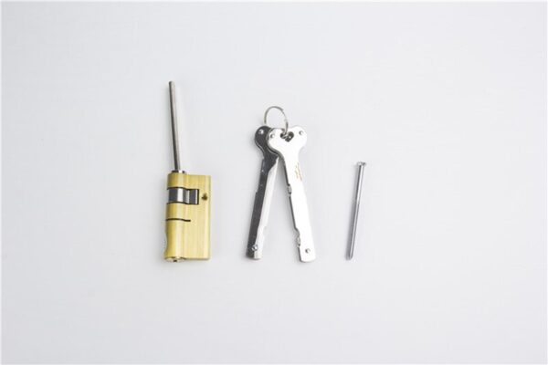 Special lock core for automatic fingerprint lock cylinder  ,With tail,C-Class core ,2keys,Anti-theft door emergency lock core - Image 10